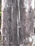 Headstone - Tokatoka Cemetery.