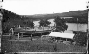 Lotus Under construction - Sir George Grey Special Collection.