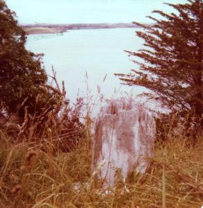John's Grave - Colleen Stanaway Collection.