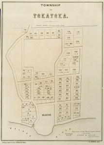 The 1867 Government plan for the Township of Tokatoka – A correspondent once noted “the surveyor who planned the township must have been a “genius” as no one on looking at the plan would have supposed that a lofty mountain rears its head in the very centre, yet there it is, with allotments on its sides that would serve well to browse two or three alpine goats upon it and for little else.”