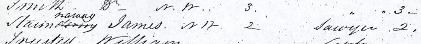 Trimed Clendon Census 1846 - Hokianga James Stanaway