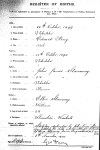 Edward's birth Certificate - Colleen Stanaway Collection.